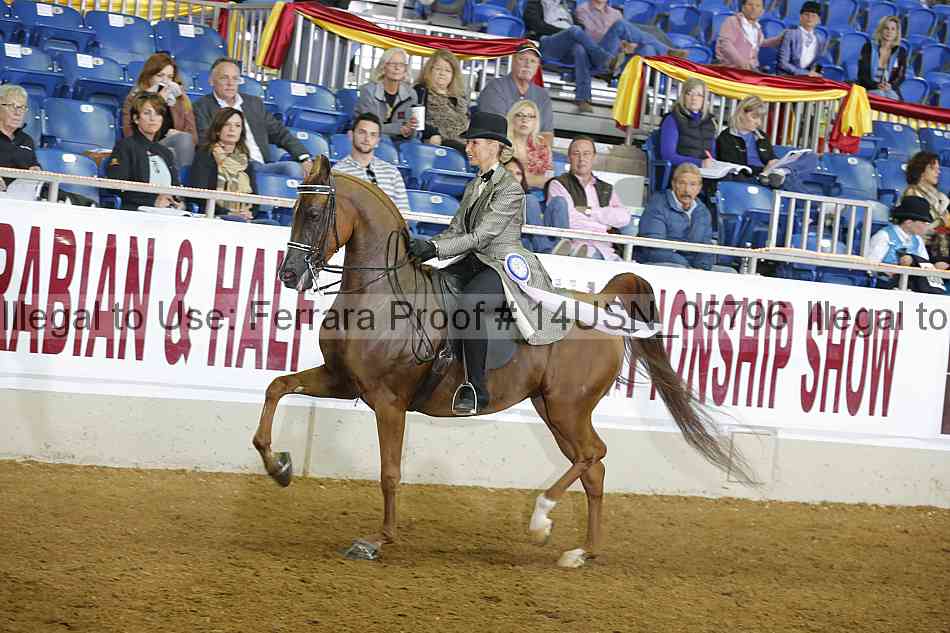 Proof 14usn_05796