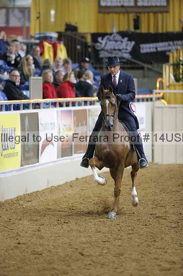 Proof 14usn_05797