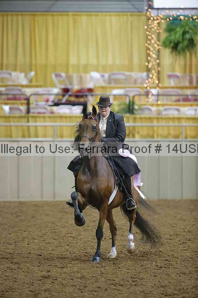 Proof 14usn_05821