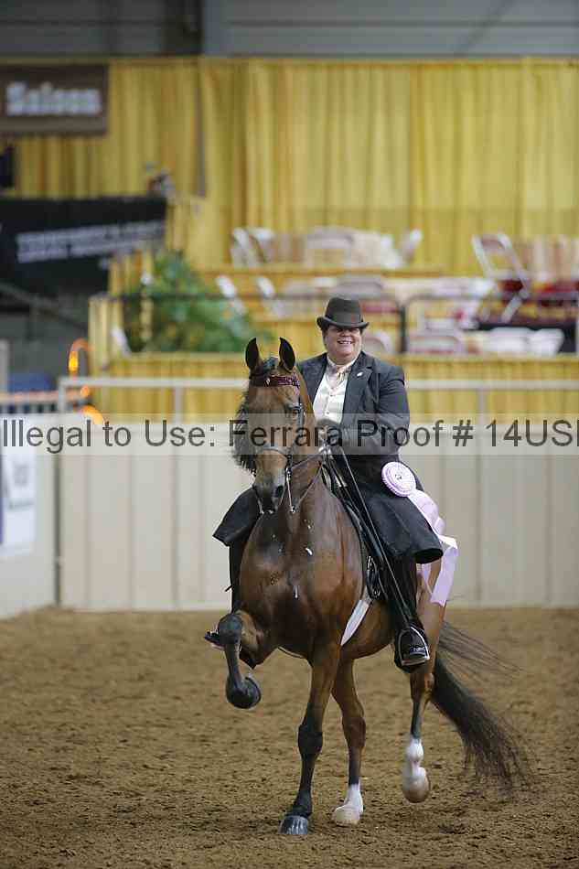 Proof 14usn_05822
