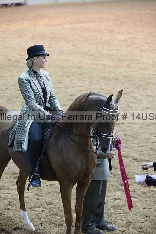 Proof 14usn_18696