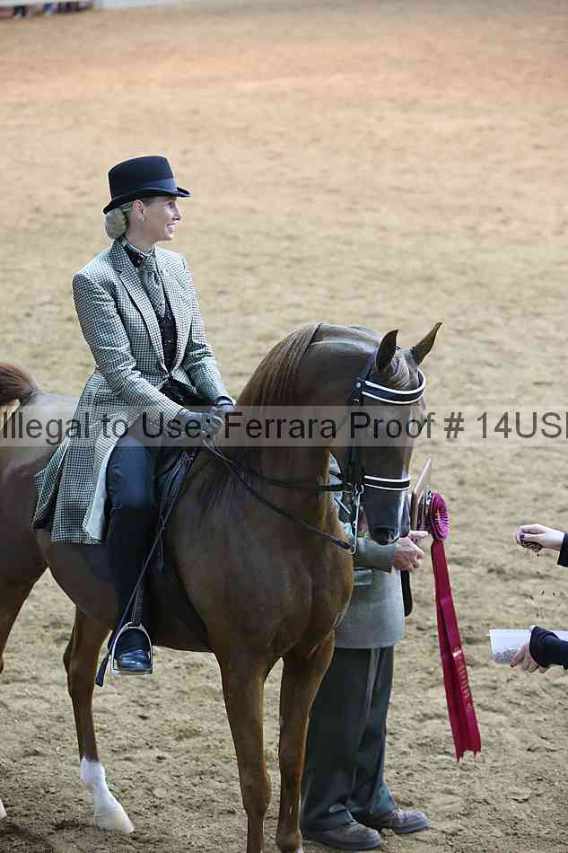 Proof 14usn_18697