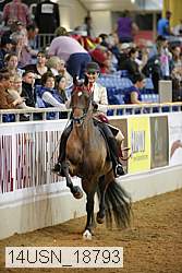 14usn_18793 proof