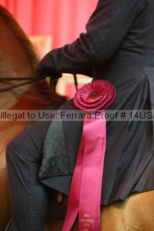 Proof 14usn_18839