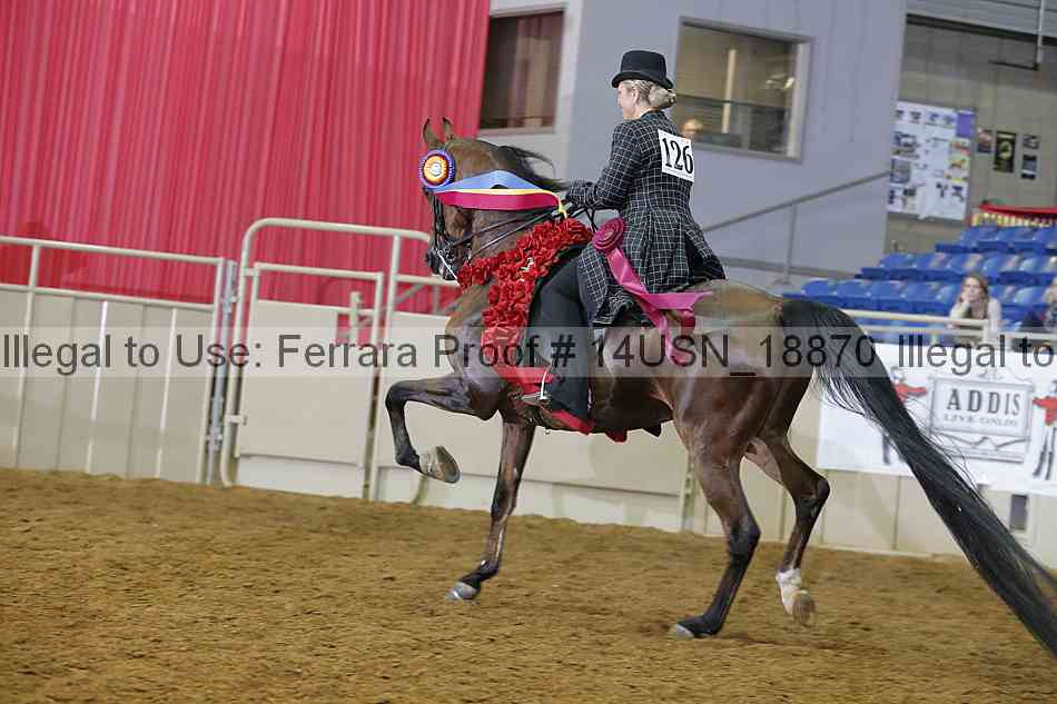 Proof 14usn_18870