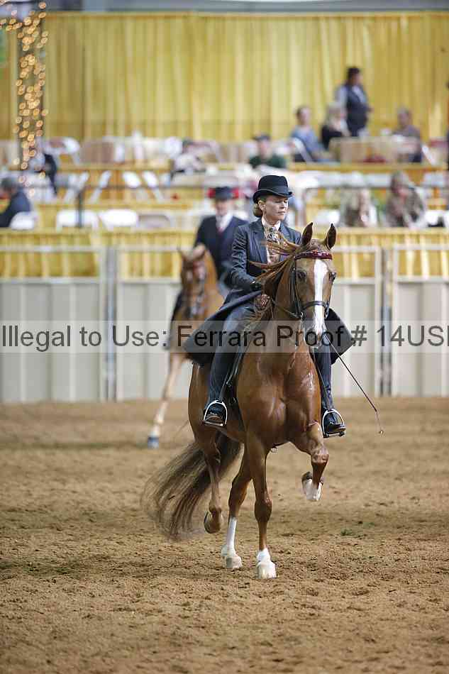 Proof 14usn_12085