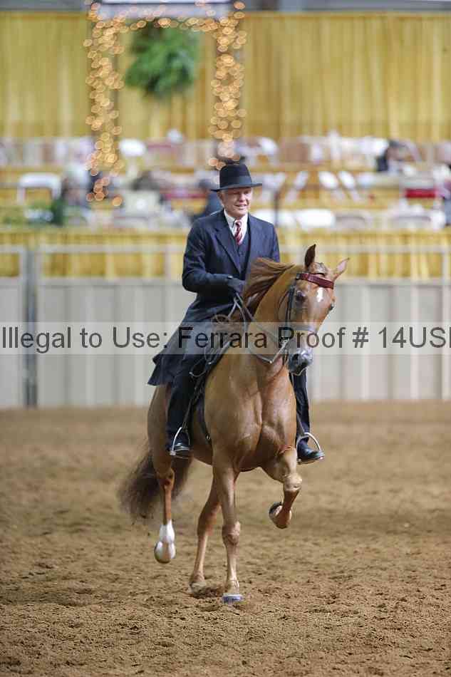 Proof 14usn_12086