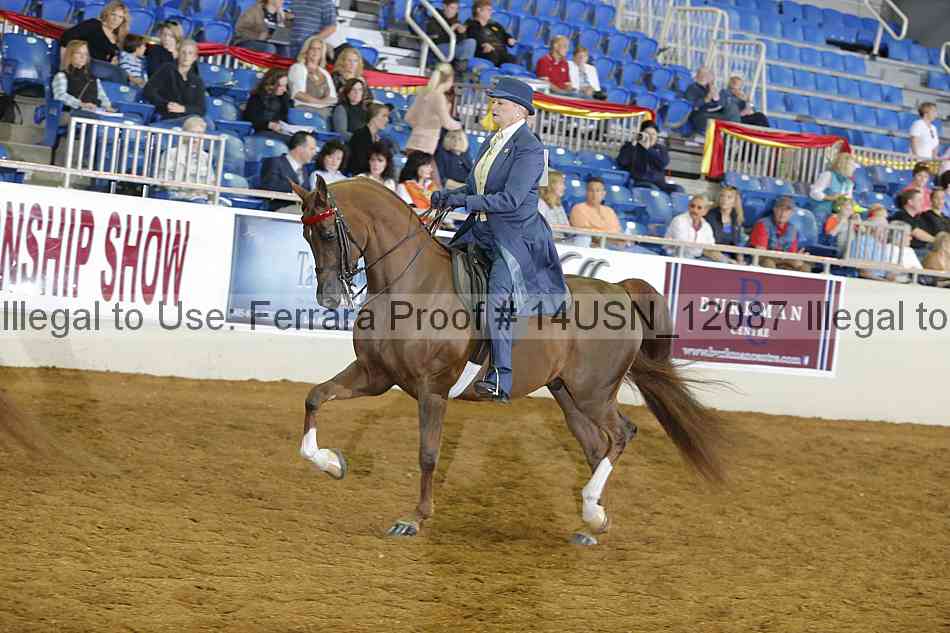 Proof 14usn_12087