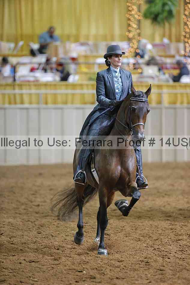 Proof 14usn_12089