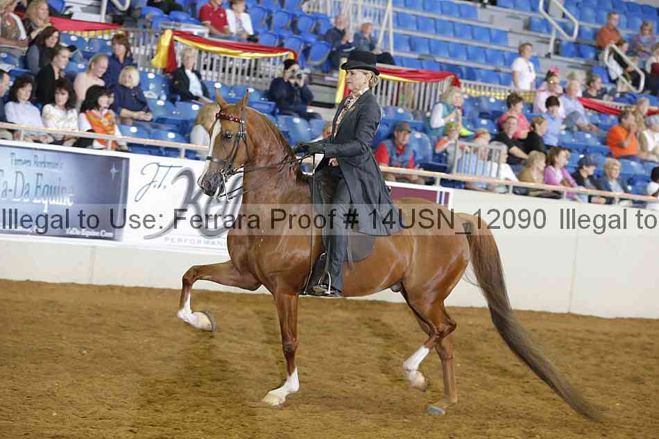 Proof 14usn_12090