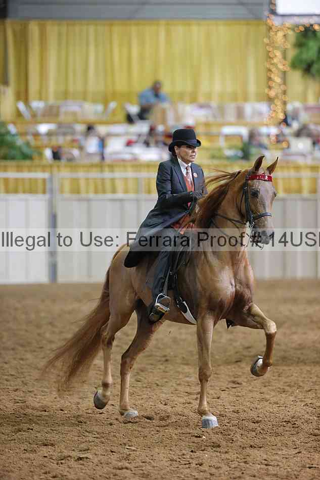 Proof 14usn_12093