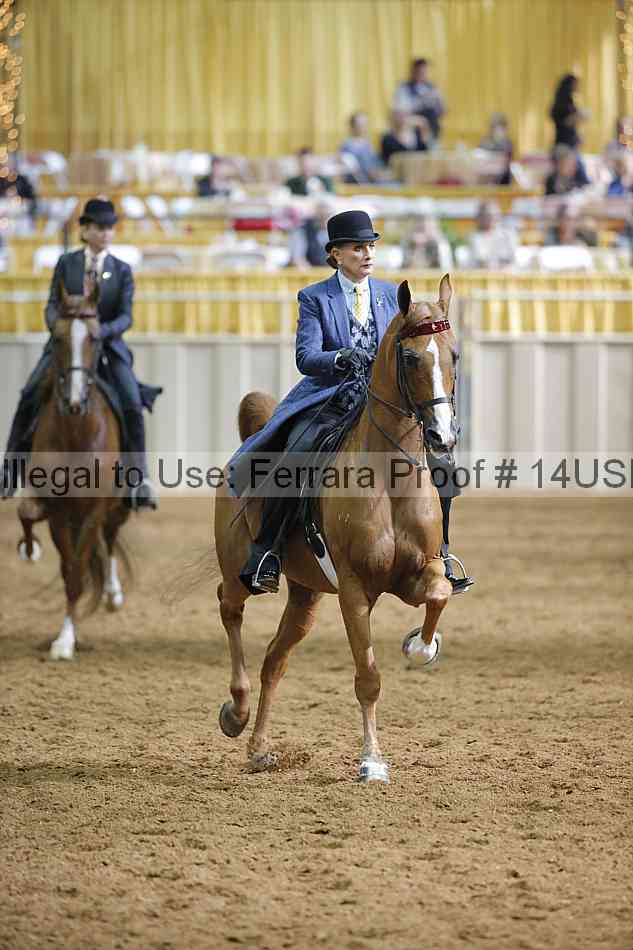 Proof 14usn_12095