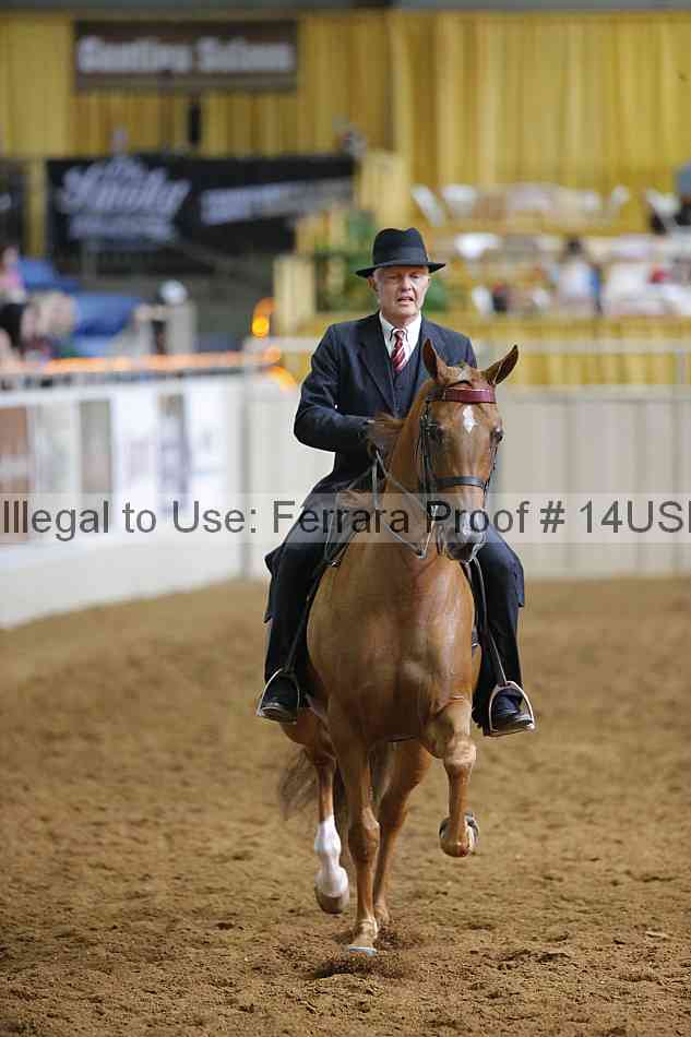 Proof 14usn_12097