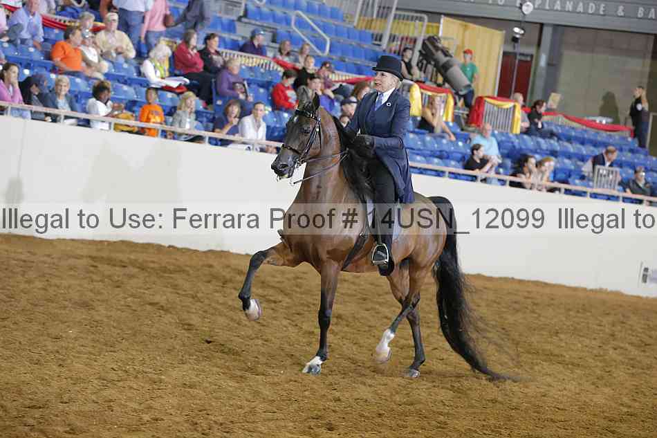 Proof 14usn_12099