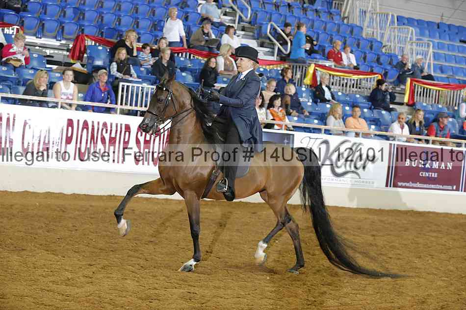 Proof 14usn_12101