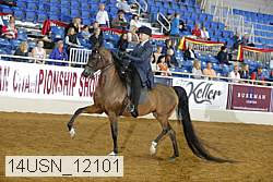 14usn_12101 proof