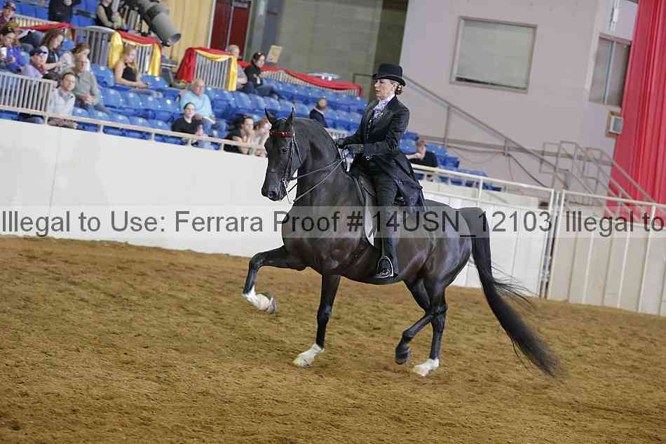 Proof 14usn_12103