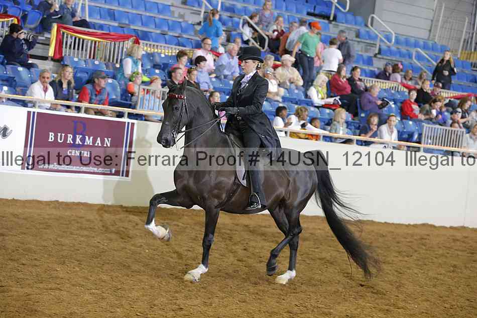 Proof 14usn_12104