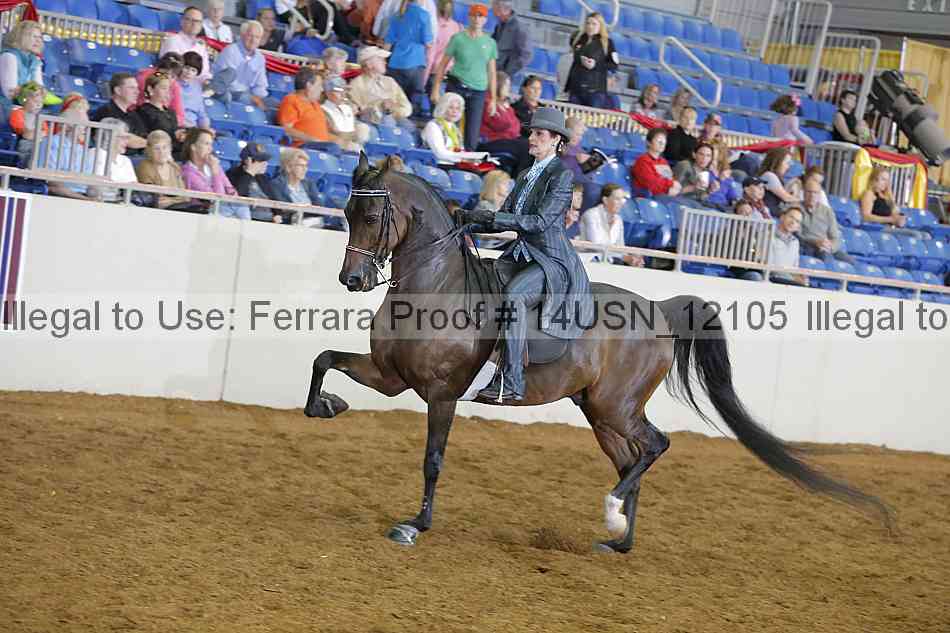 Proof 14usn_12105