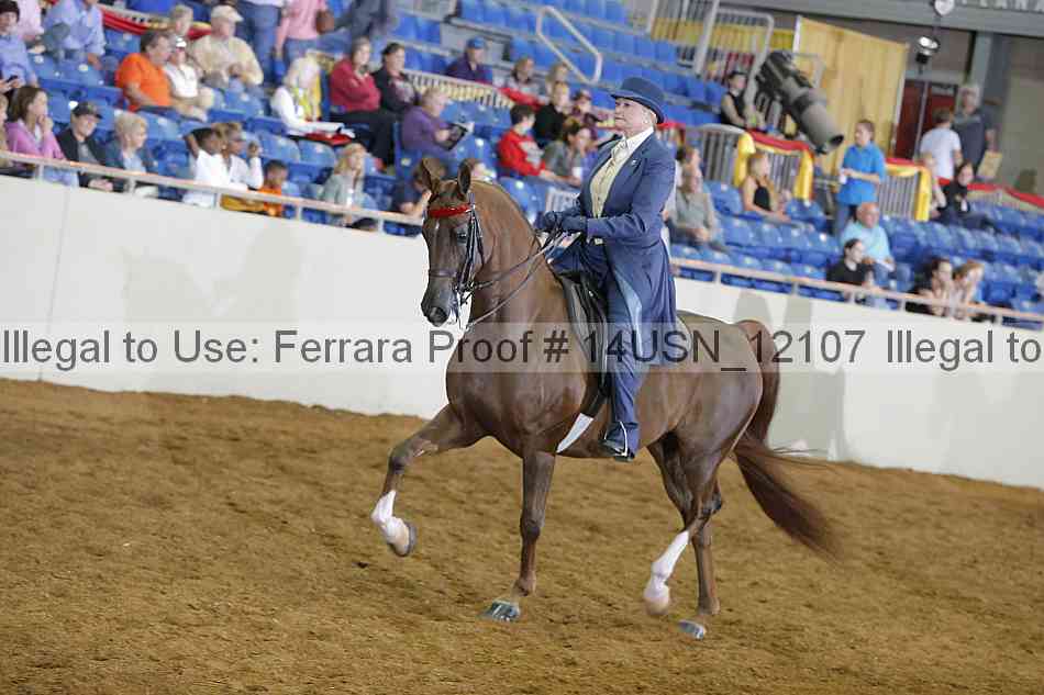 Proof 14usn_12107