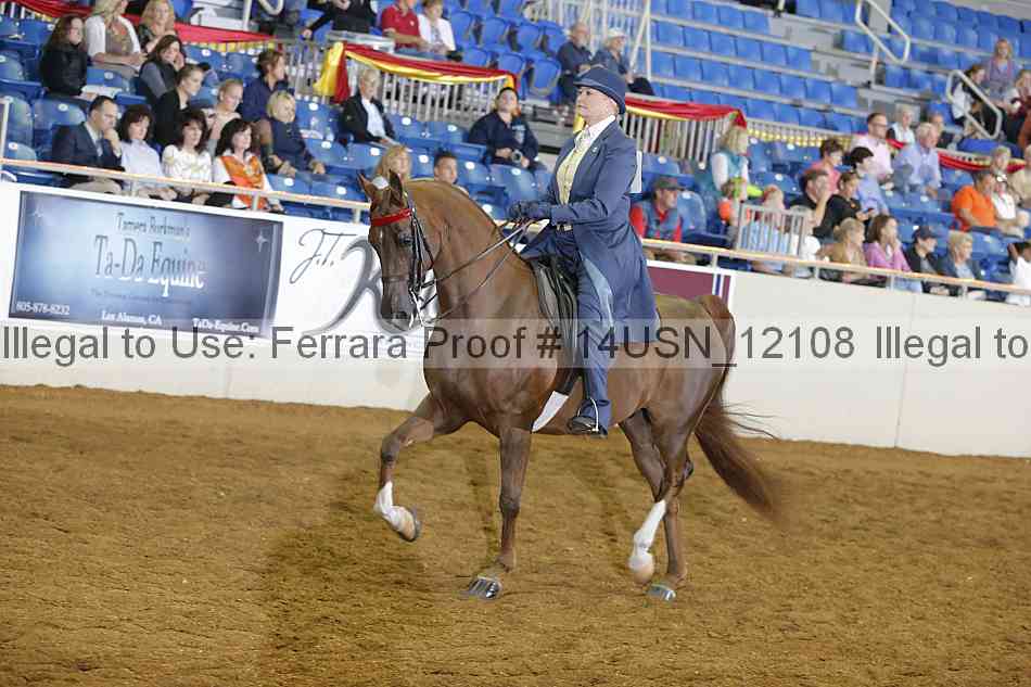 Proof 14usn_12108
