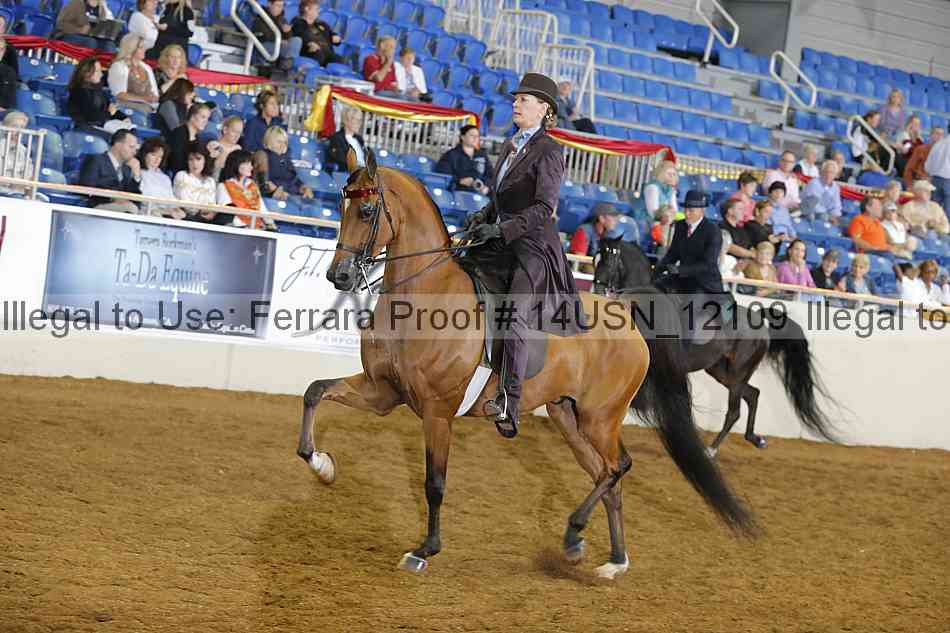Proof 14usn_12109