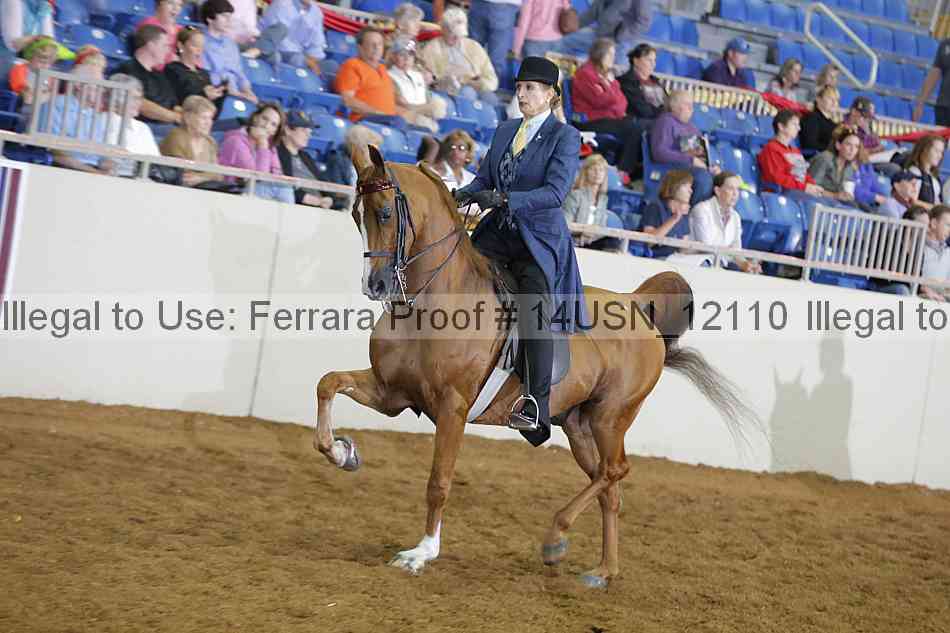 Proof 14usn_12110