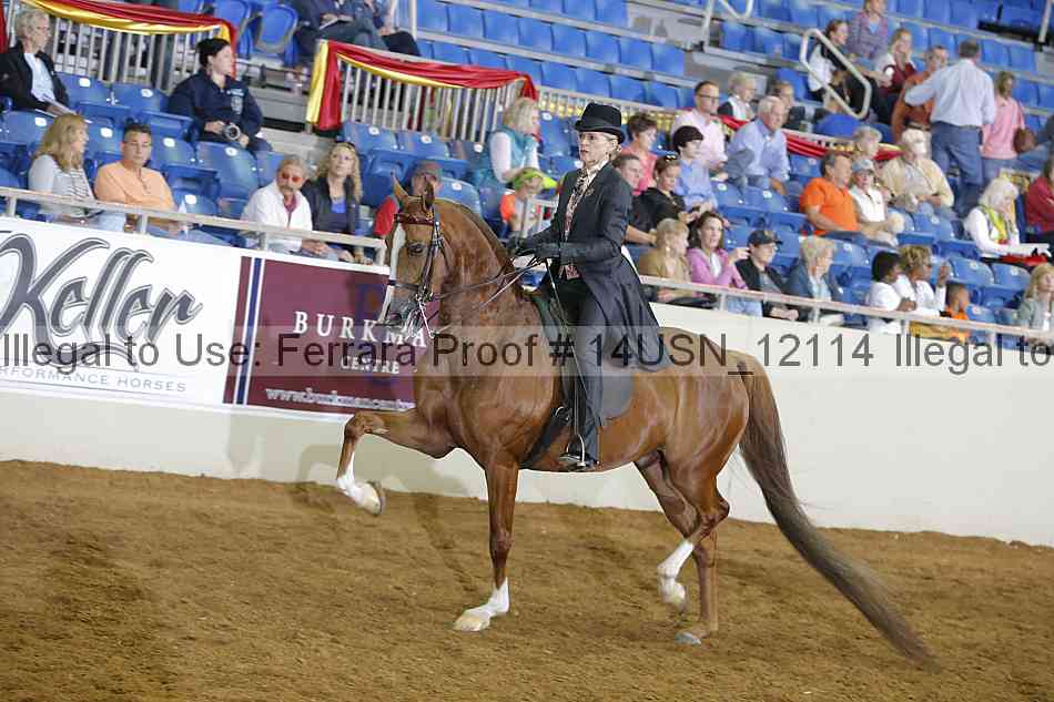 Proof 14usn_12114