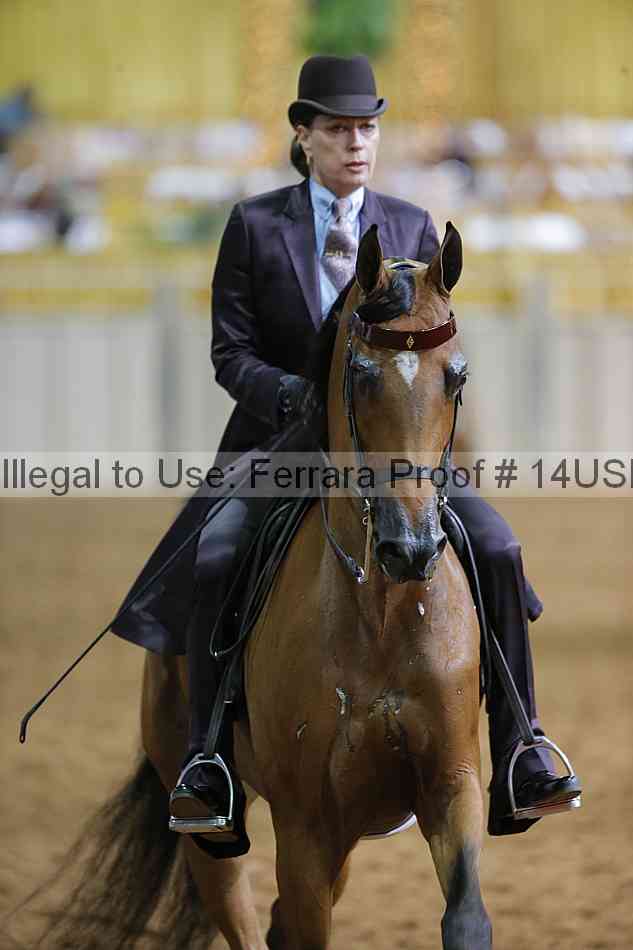 Proof 14usn_12118
