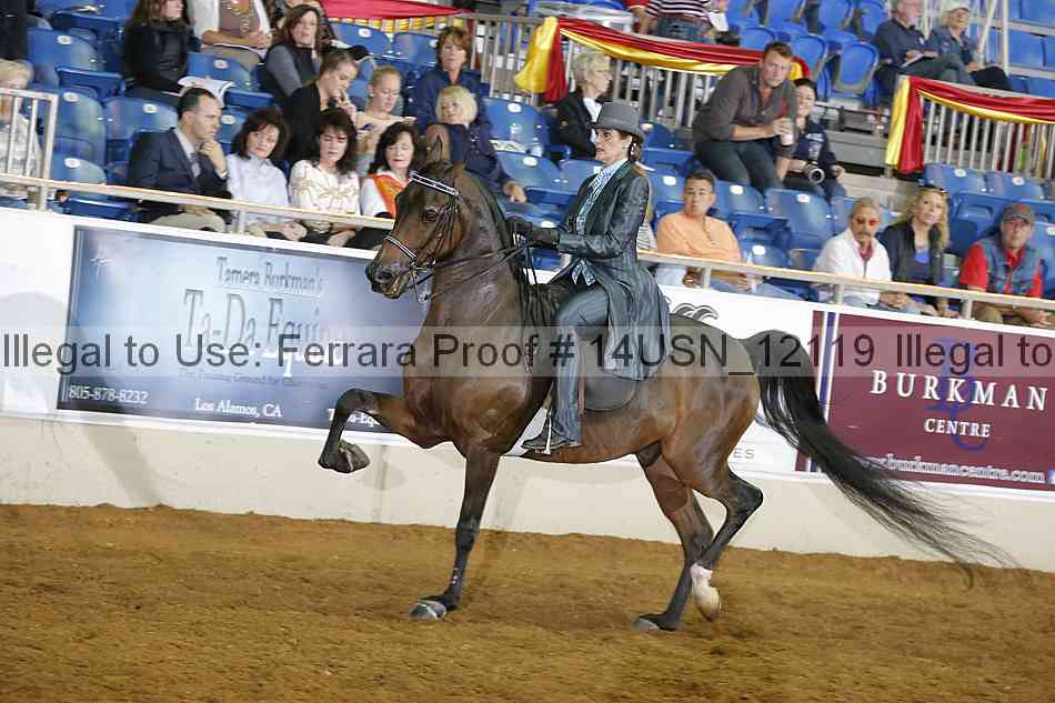 Proof 14usn_12119