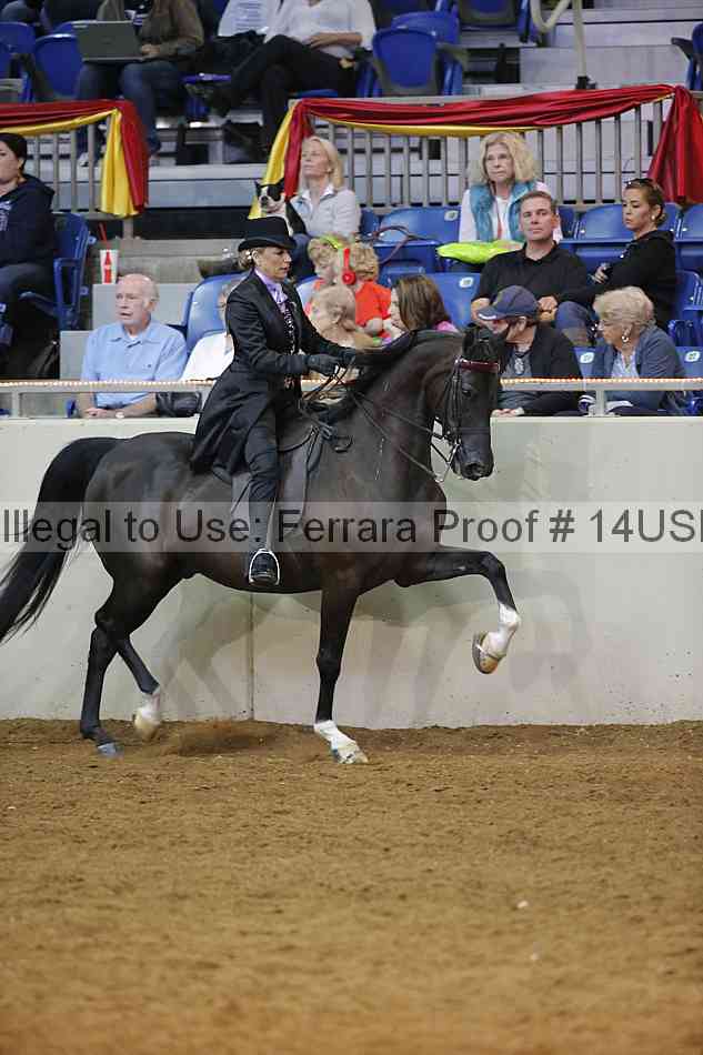 Proof 14usn_12129