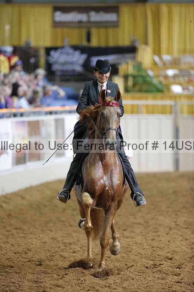 Proof 14usn_12155