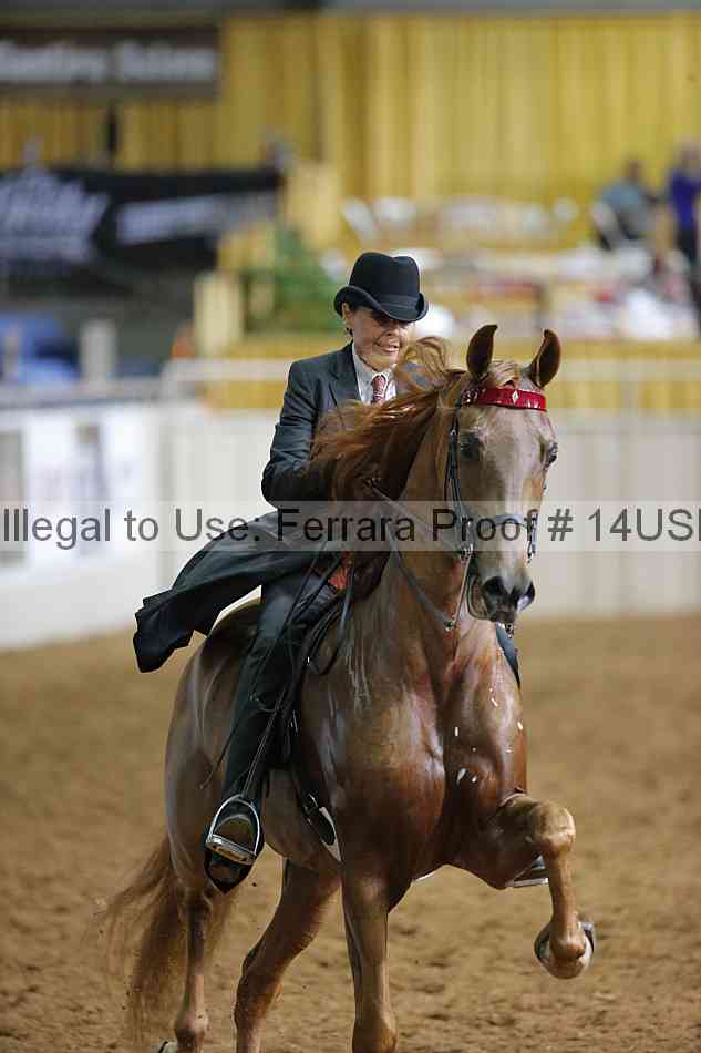 Proof 14usn_12157