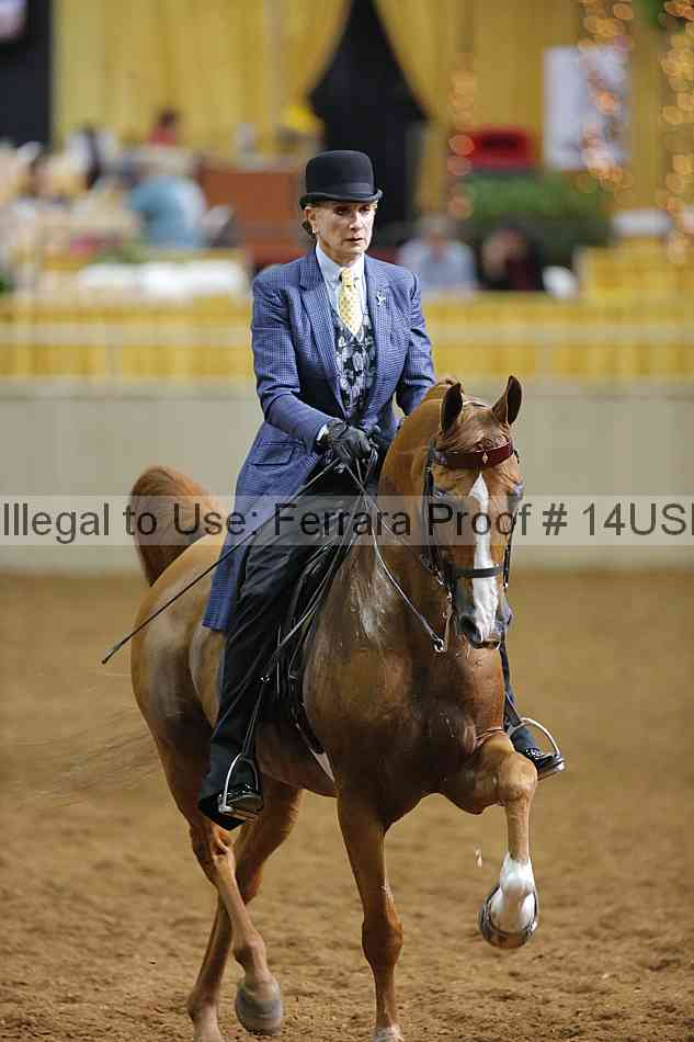 Proof 14usn_12162