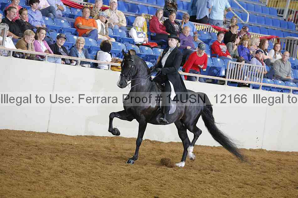 Proof 14usn_12166