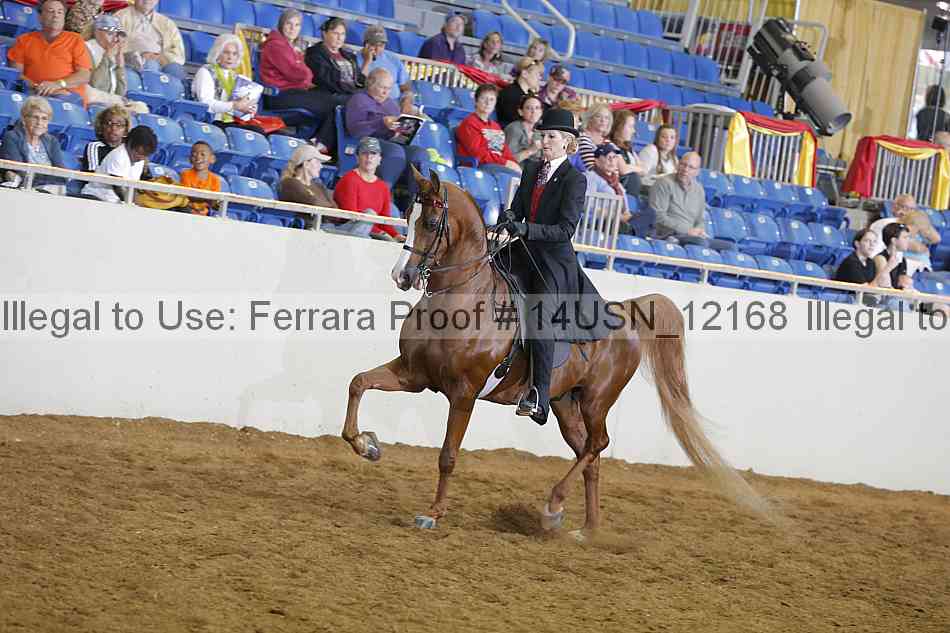 Proof 14usn_12168