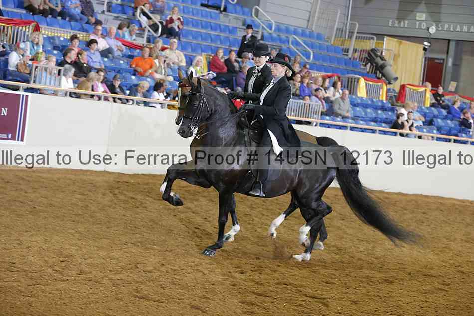 Proof 14usn_12173