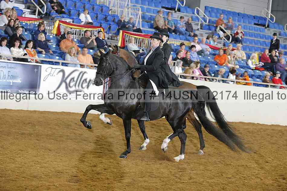 Proof 14usn_12174