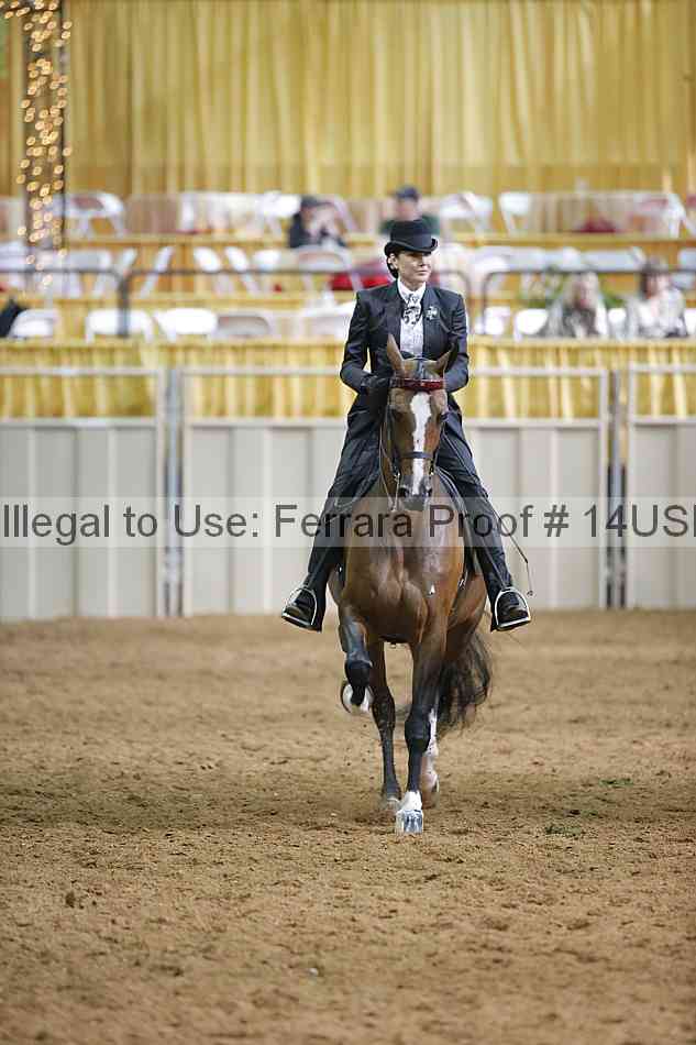 Proof 14usn_12177