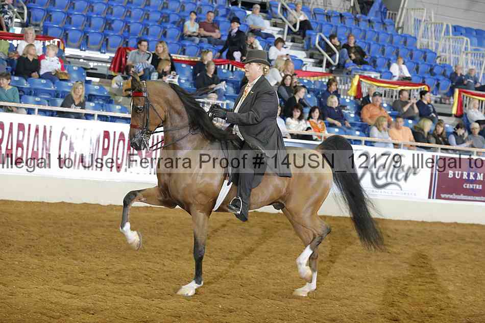 Proof 14usn_12179