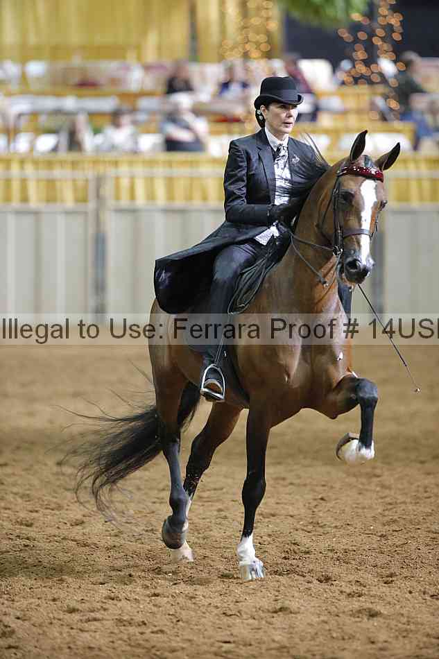 Proof 14usn_12180