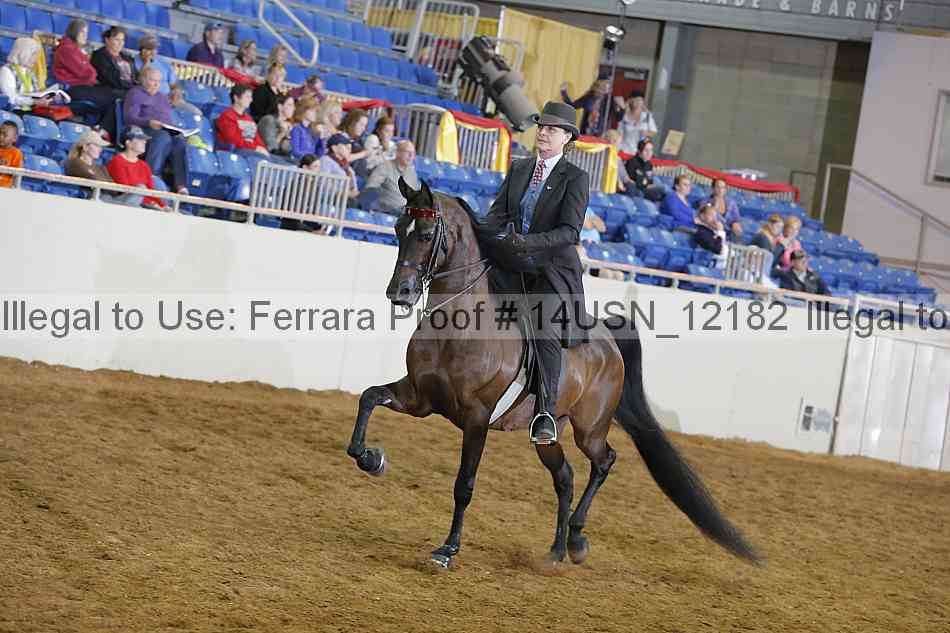 Proof 14usn_12182