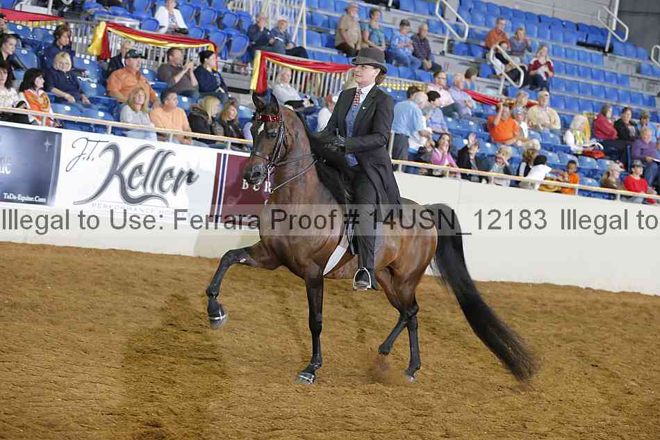 Proof 14usn_12183