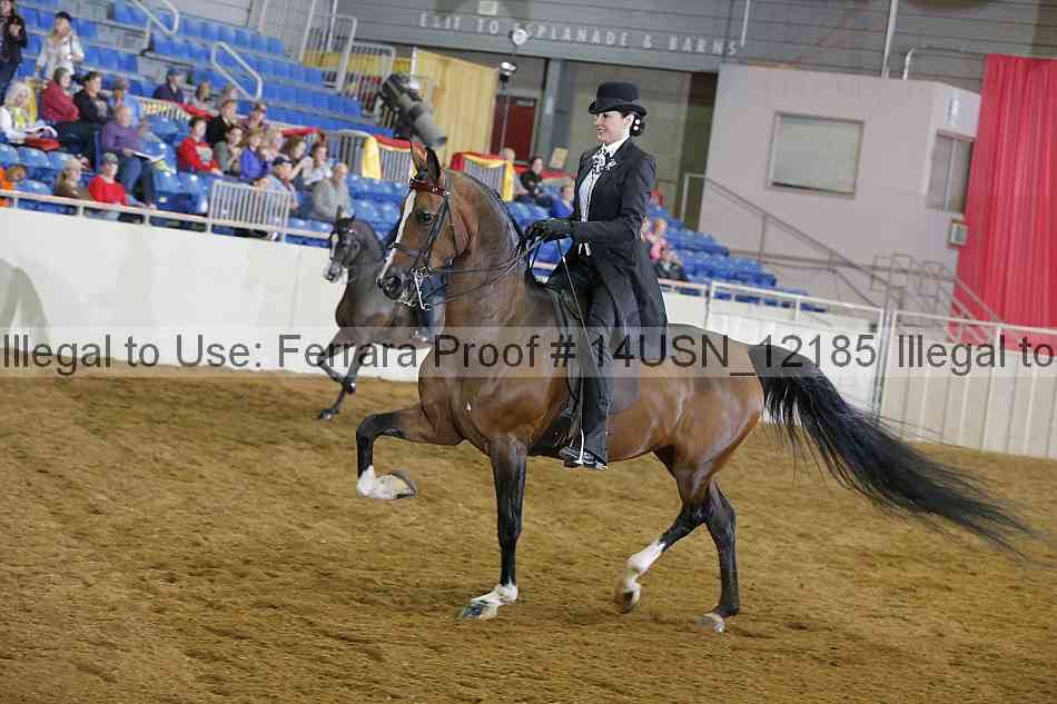Proof 14usn_12185
