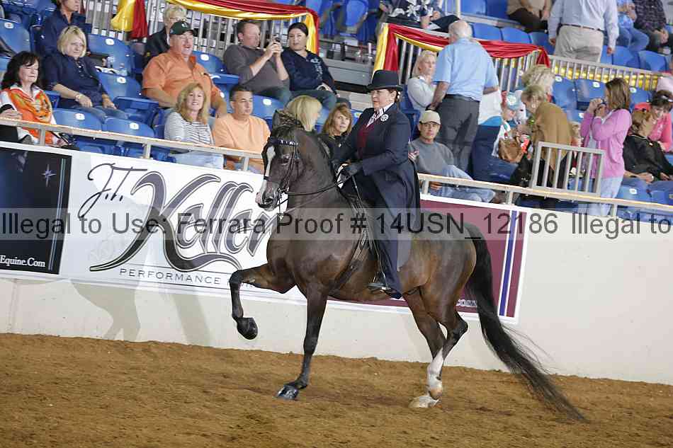 Proof 14usn_12186