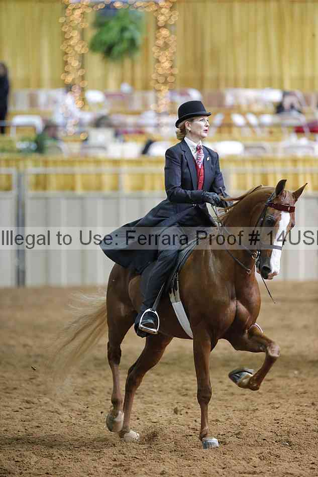 Proof 14usn_12189