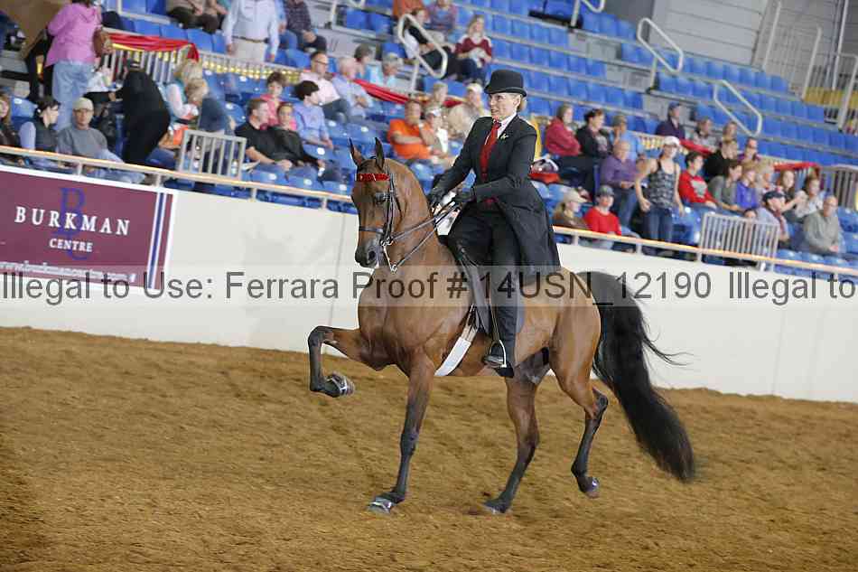 Proof 14usn_12190
