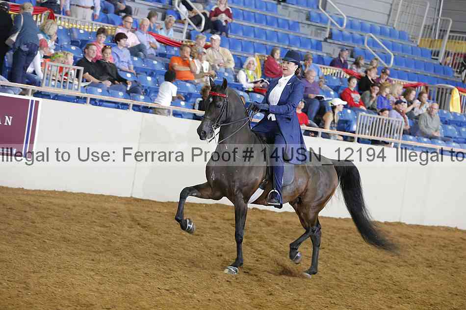 Proof 14usn_12194