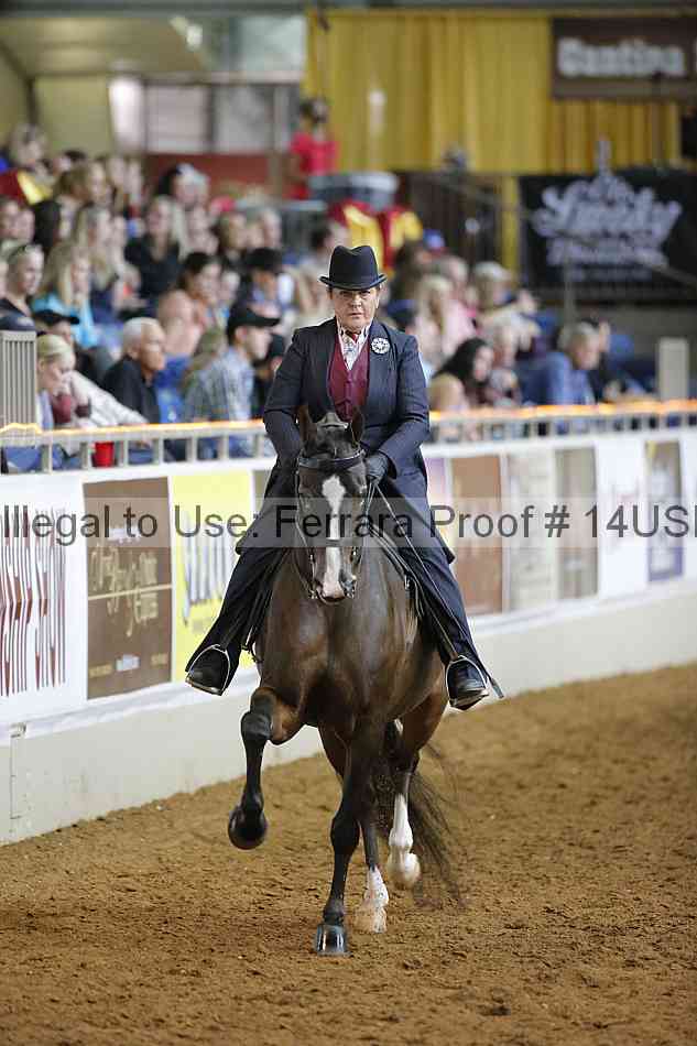 Proof 14usn_12196