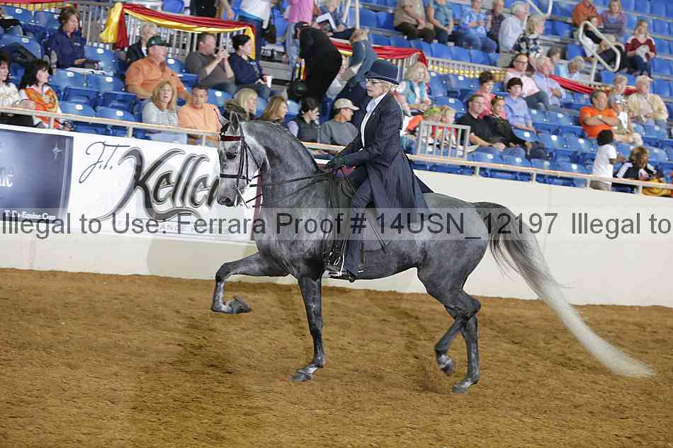 Proof 14usn_12197